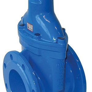 GATE VALVE BS5163 DUCTILE IRON, EPOXY COATED / FLANGED PN10/16 CAP TOP-0